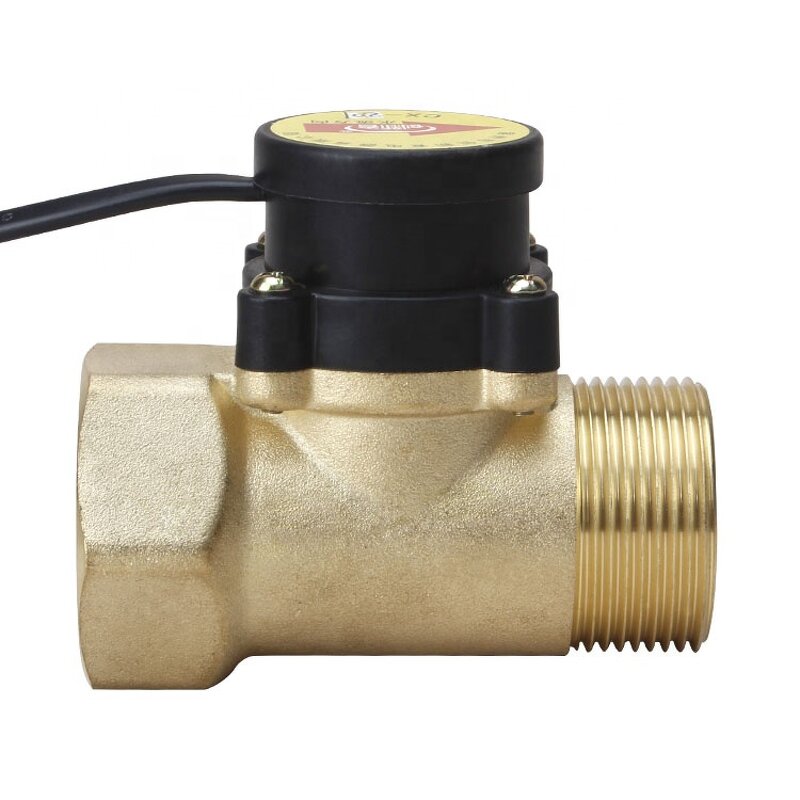 Water Flow Switch Manufacturer - High Power Booster Pump Brass 1 Inch