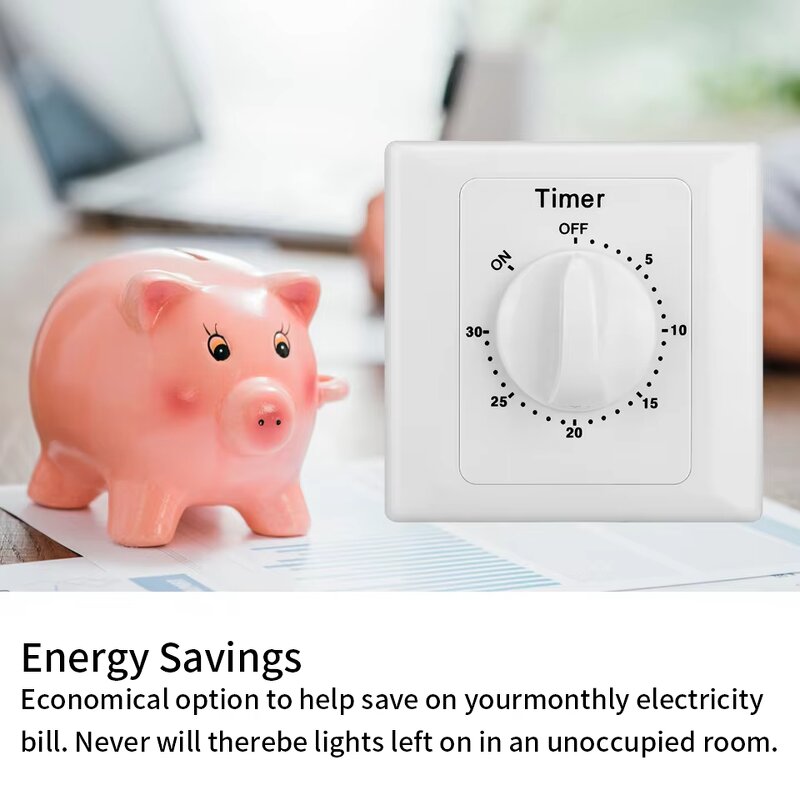 Mechanical Timer Socket Manufacturer - 30-Minute Countdown Automatic Shutoff