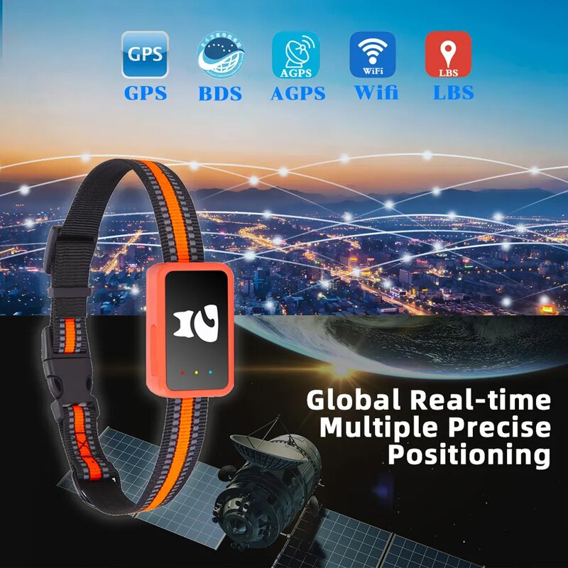 Smart Pet Tracker Manufacturer - OEM/ODM 4G IOS Android Real-time