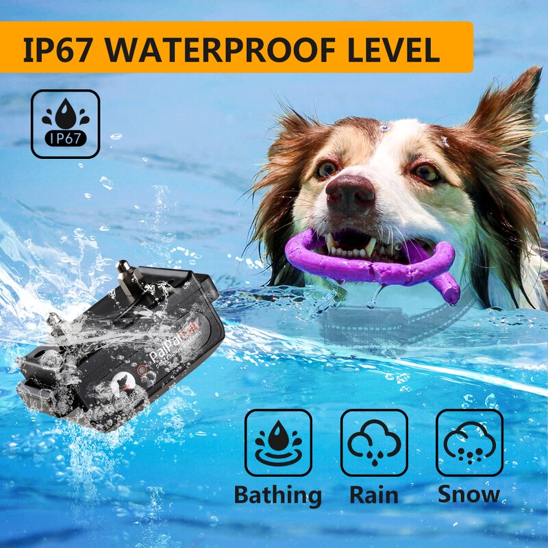 Dog Training Collar Manufacturer - OEM/ODM Adjustable Anti Bark