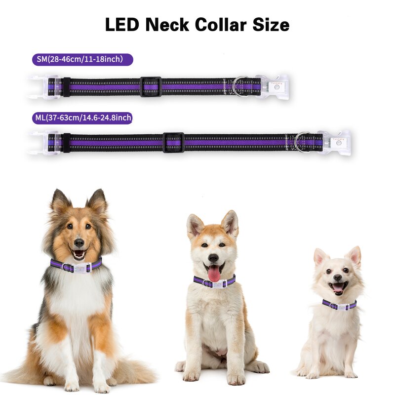 LED Dog Collar Manufacturer - OEM/ODM Light up Rechargeable