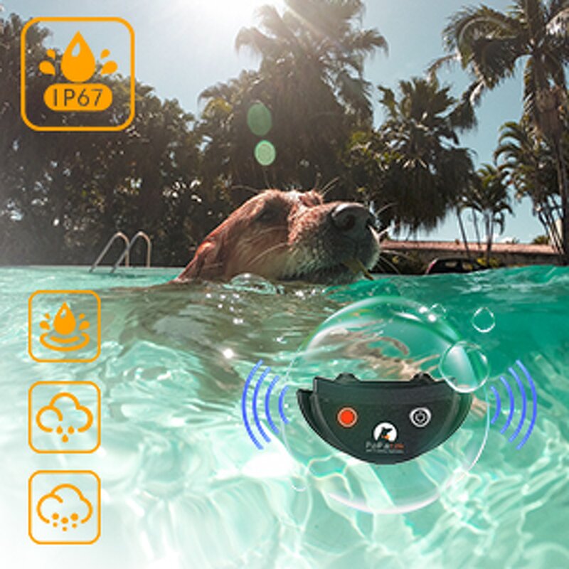 Dog Training Collar Manufacturer - OEM/ODM No Shock Buzzer Remote