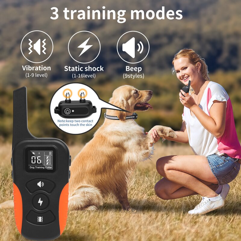 Dog Shock Collar Manufacturer - OEM/ODM Waterproof Remote Control