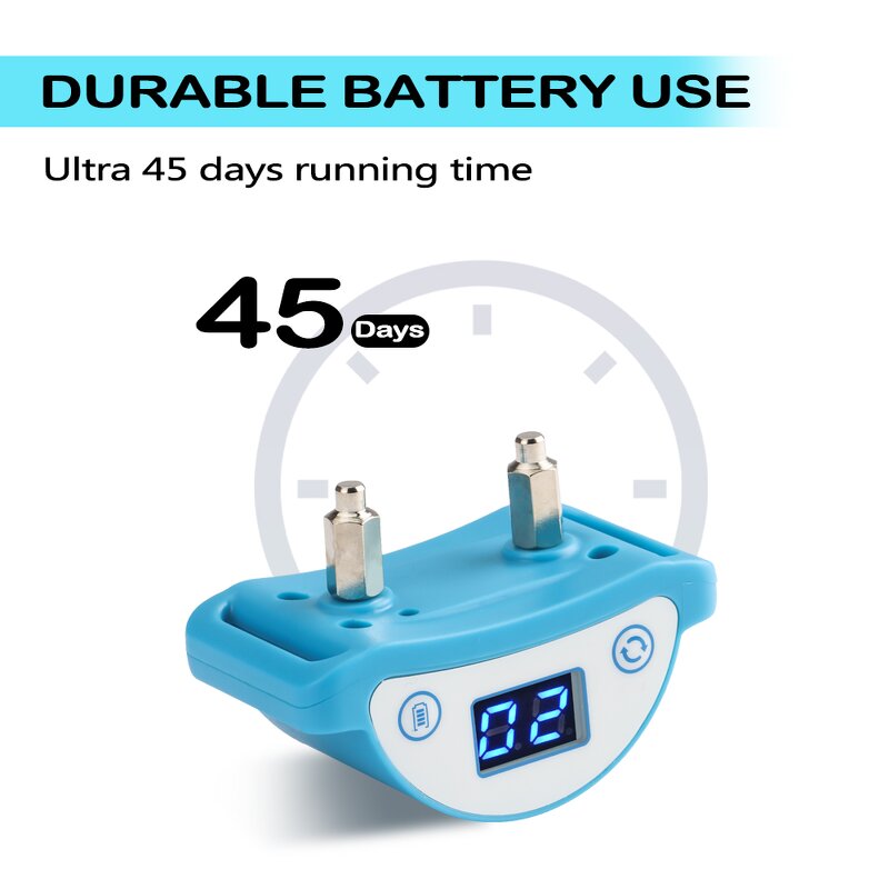 Cat Training Collar Manufacturer - OEM/ODM Anti Bark Waterproof