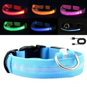 LED Pet Collar Manufacturer - OEM/ODM Night Safety Glow Light