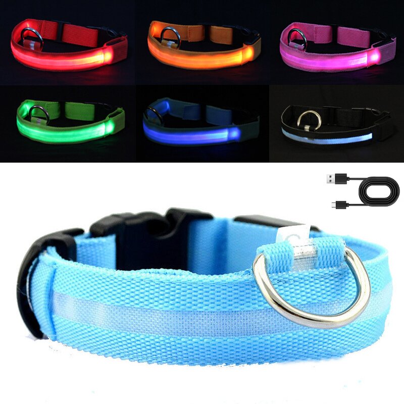 LED Pet Collar Manufacturer - OEM/ODM Night Safety Glow Light
