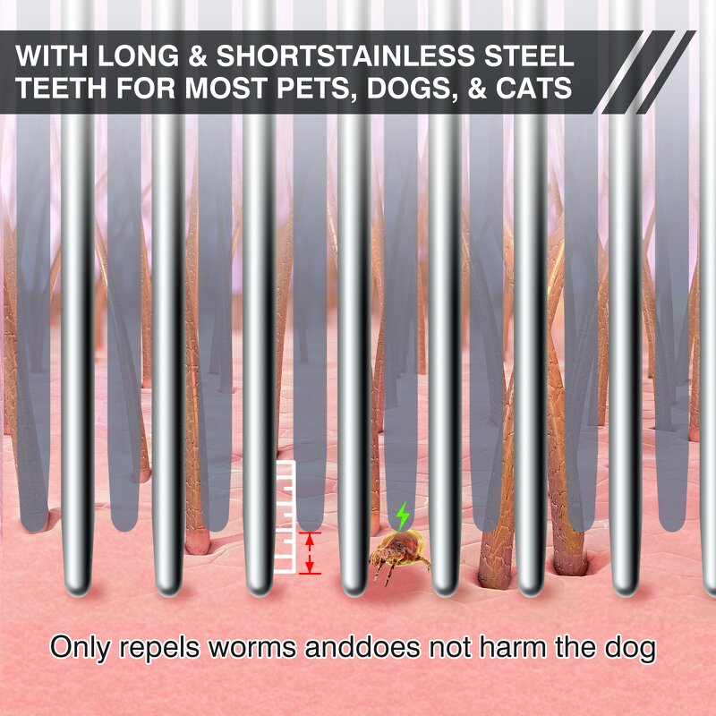 Pet Grooming Tool Manufacturer - OEM/ODM Electric Dog Brush