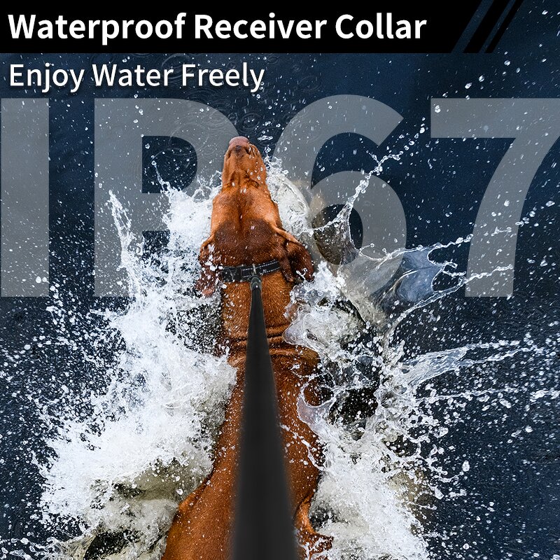 Dog Shock Collar Manufacturer - OEM/ODM IPX7 Waterproof Rechargeable