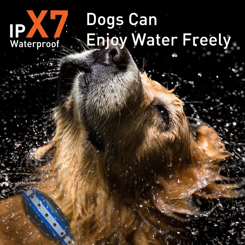 Dog Training Collar Manufacturer - OEM/ODM 1100yd Range Waterproof