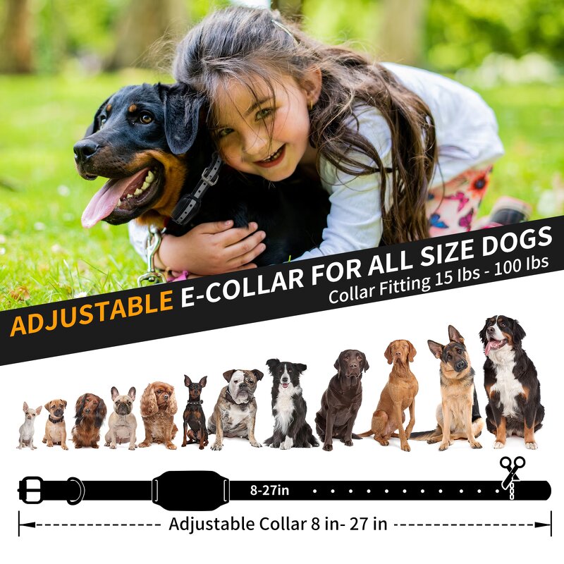 Dog Training Collar Manufacturer - OEM/ODM Automatic Bark Mode