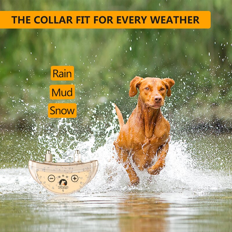 Dog Shock Collar Manufacturer - OEM/ODM 5 Sensitivity Adjustable