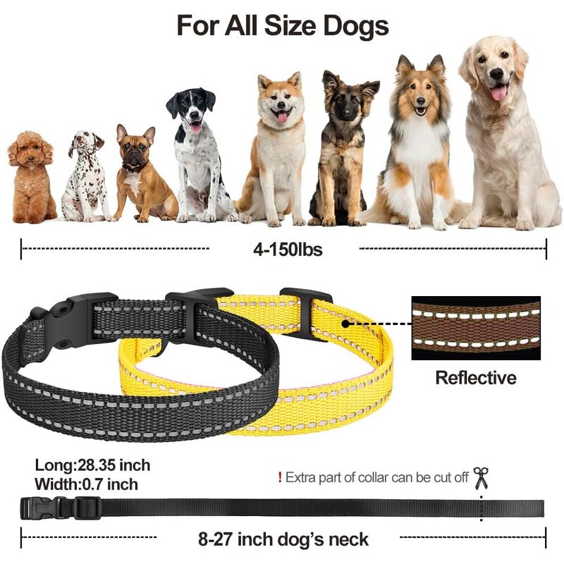 Dog Training Collar Manufacturer - OEM/ODM METAL Shock Replacement