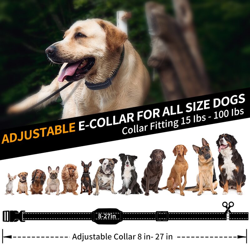 Dog Shock Collar Manufacturer - OEM/ODM Smart Training Leash