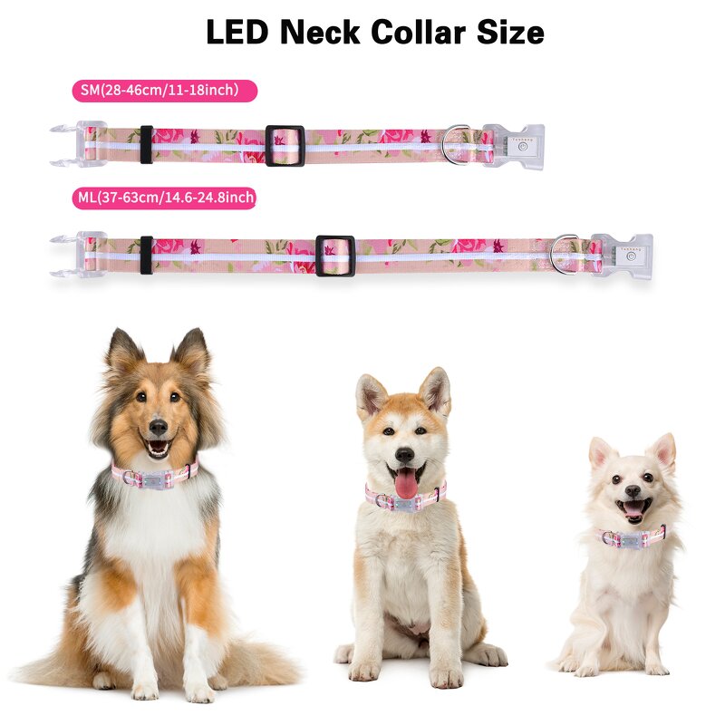 LED Dog Collar Manufacturer - OEM/ODM IP68 Waterproof Rechargeable