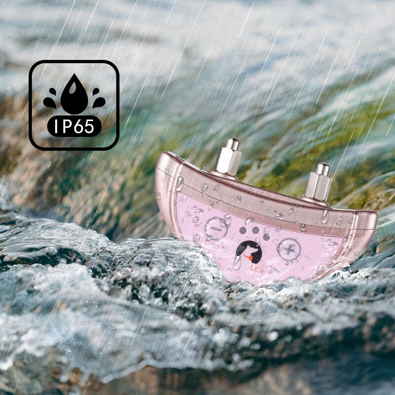 Dog Training Collar Manufacturer - OEM/ODM Sound Vibration Shock