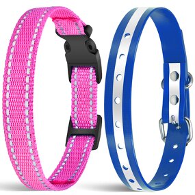 Pet Training Accessories Manufacturer - OEM/ODM Dog Leash Collar