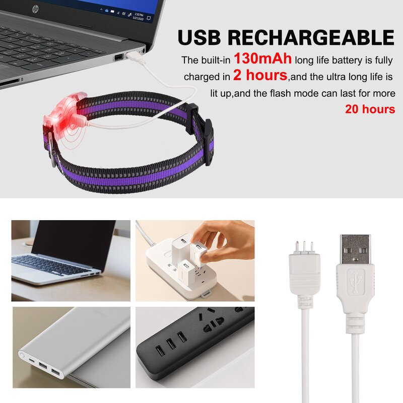 LED Dog Collar Manufacturer - OEM/ODM Light up Rechargeable