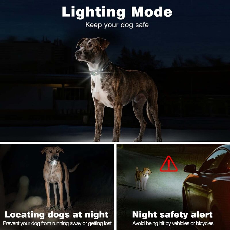 Dog Training Collar Manufacturer - OEM/ODM Electric Shock