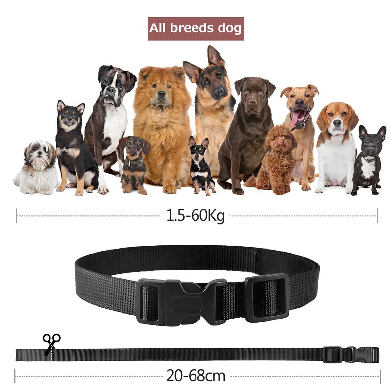 Dog Training Collar Manufacturer - OEM/ODM Sound Vibration Shock
