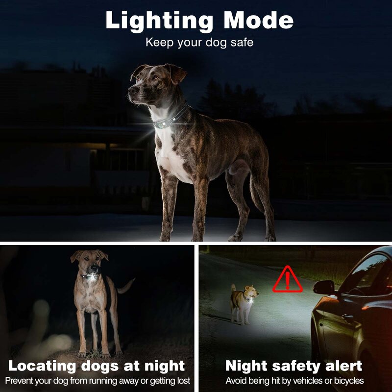 Dog Training Collar Manufacturer - OEM/ODM 1-Mile Range Remote