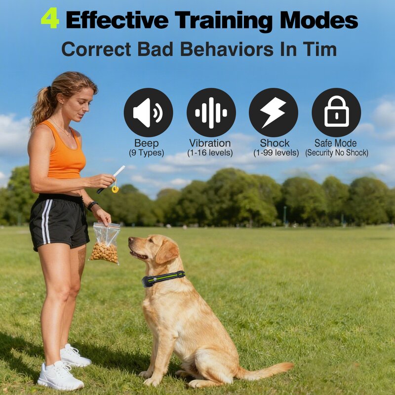 Dog Training Collar Manufacturer - OEM/ODM 1000M Range Waterproof