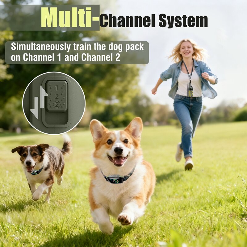 Dog Training Collar Manufacturer - OEM/ODM 1000M Range Beep Vibration