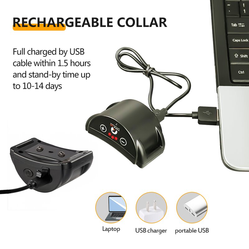 Dog Training Collar Manufacturer - OEM/ODM No Prongs Vibration