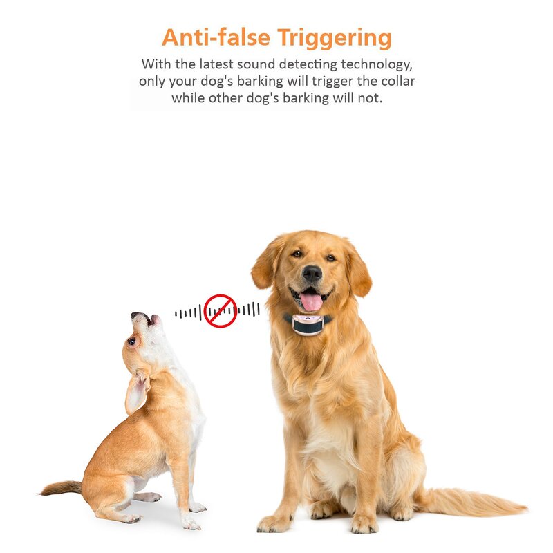 Dog Training Collar Manufacturer - OEM/ODM Sound Vibration Shock