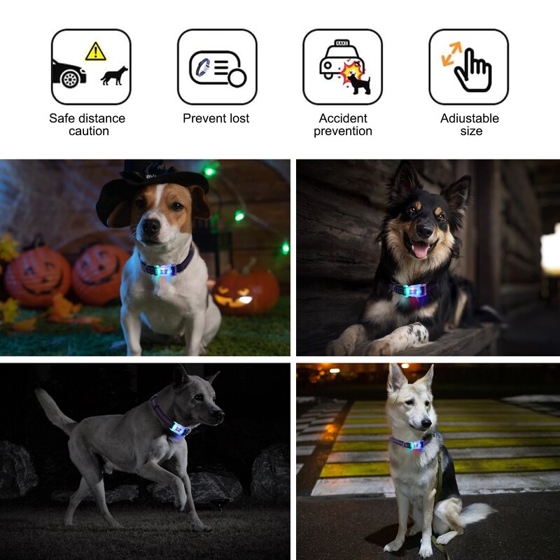 LED Pet Collar Manufacturer - OEM/ODM Adjustable Flash Personalised