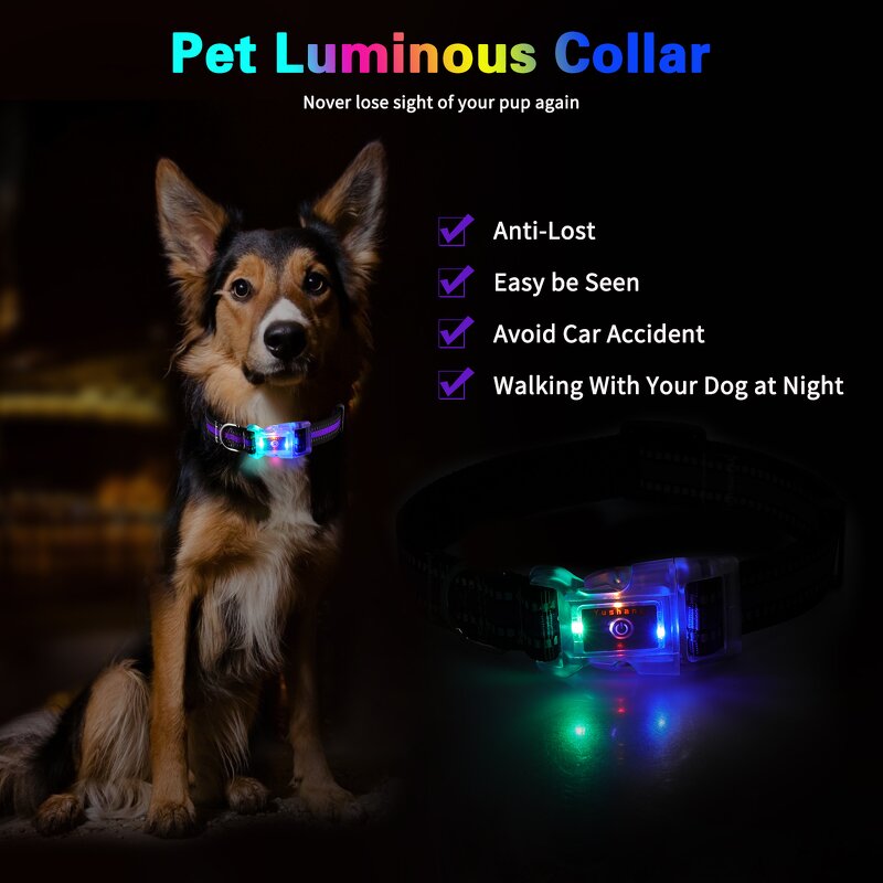 LED Dog Collar Manufacturer - OEM/ODM Light up Rechargeable