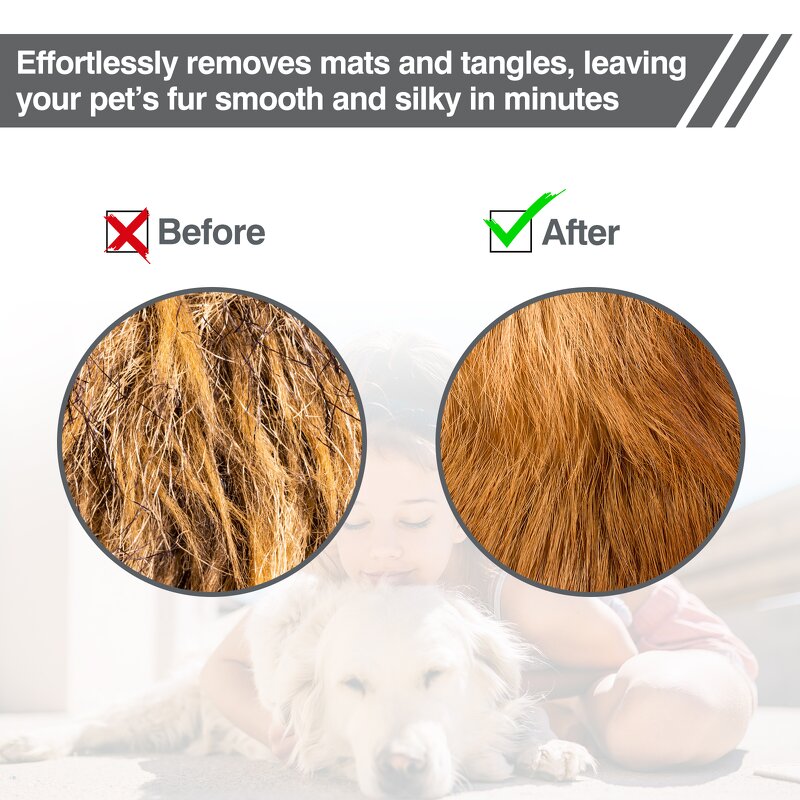 Pet Grooming Tool Manufacturer - OEM/ODM Electric Dog Brush