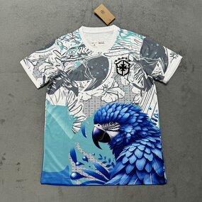 Soccer Jersey Manufacturer - OEM/ODM Classic Retro Print Name