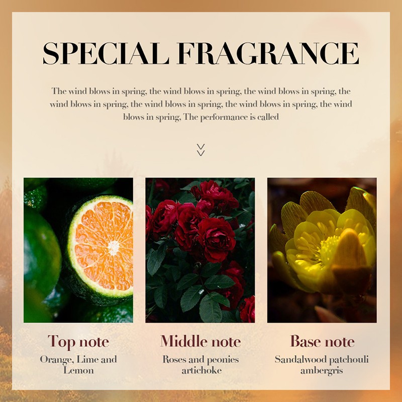 Hair Care - OEM Olive Oil Moisture Repair