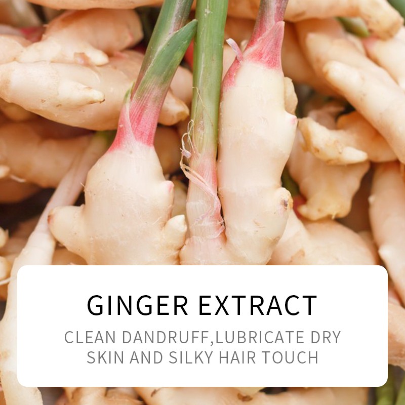 Hair Conditioner - OEM Argan Glycerin Nourish