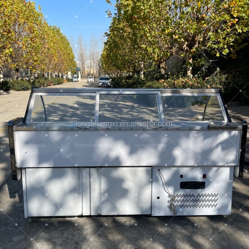 Meat Display Case Manufacturer - OEM/ODM Single-Temperature Deli
