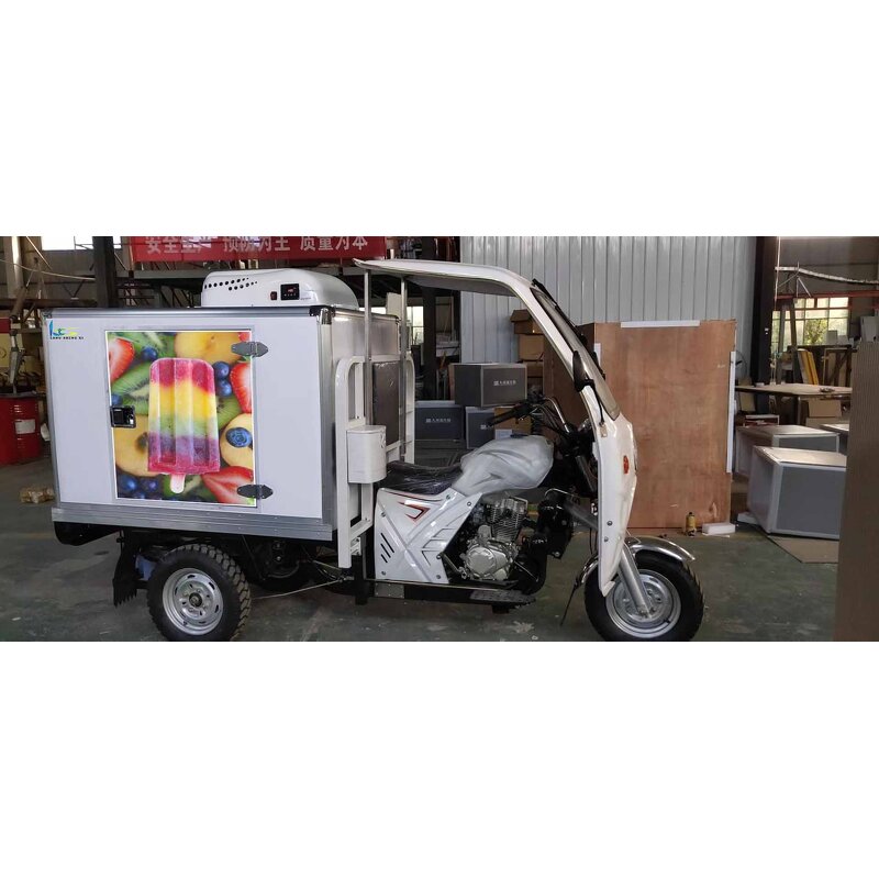 Refrigerated Tricycle Manufacturer - OEM/ODM Gasoline Petrol Diesel Cargo
