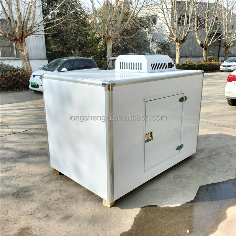 Mobile Freezer Manufacturer - OEM/ODM Portable Mini Cargo Cooler