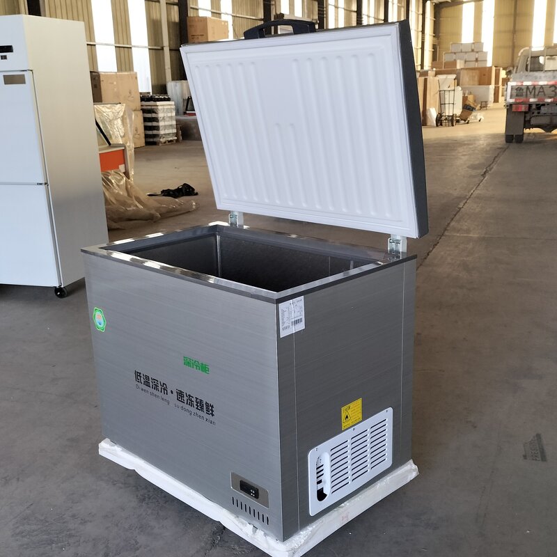 Deep Freezer Manufacturer - OEM/ODM -80 Degree Medical Upright