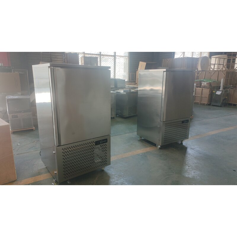 Blast Freezer Manufacturer - OEM/ODM IQF 10 Trays -40 Temperature