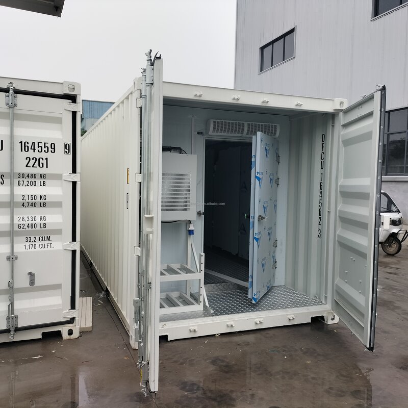 Walk-in Freezer Manufacturer - OEM/ODM 20ft Fan Cooling Adjustable