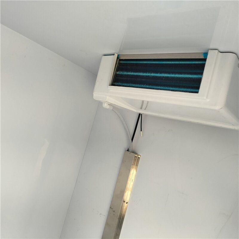 Mobile Freezer Manufacturer - OEM/ODM Portable Mini Cargo Cooler