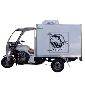 Solar Cooler Manufacturer - OEM/ODM Three-Wheel Fuel Motorcycles Cargo