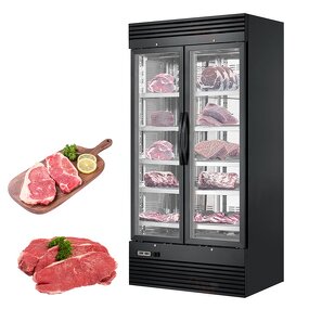 Beef Matured Cabinet Manufacturer - OEM/ODM Wet Dry Meat Fridge