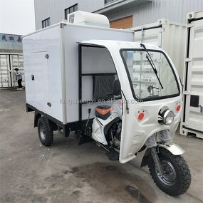 Electric Cargo Tricycle Manufacturer - OEM/ODM 1200w 3 Wheels Refrigerator
