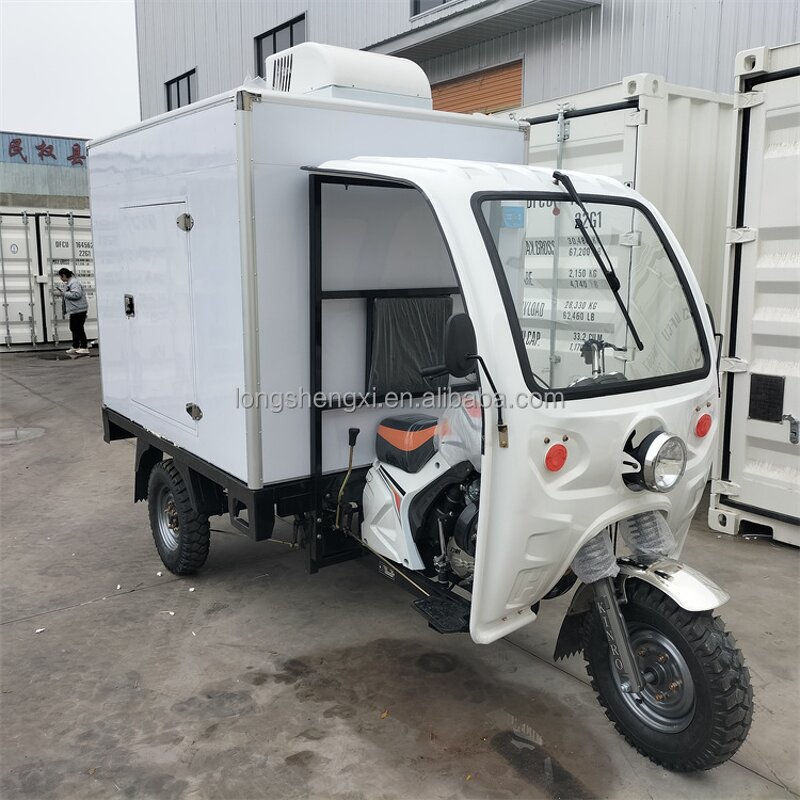 Electric Cargo Tricycle Manufacturer - OEM/ODM 1200w 3 Wheels Refrigerator