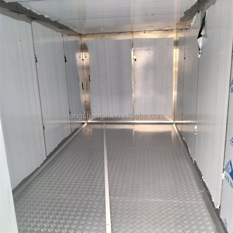 Container Freezer Manufacturer - OEM/ODM Customized 20FT 40FT Cold