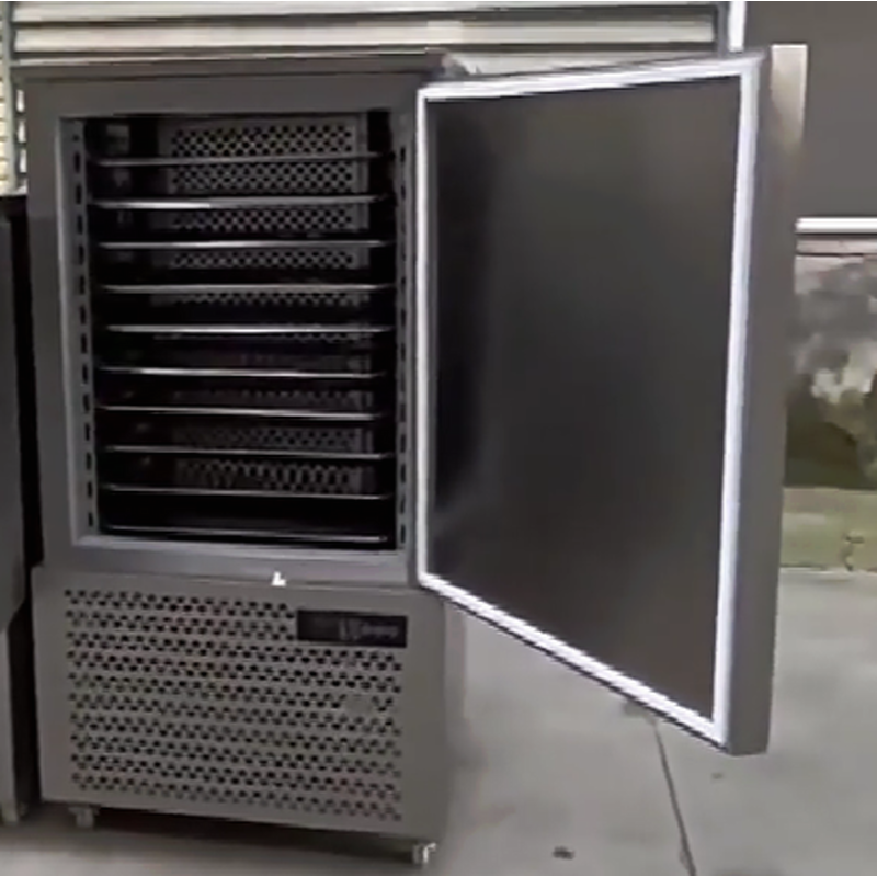 Blast Freezer Manufacturer - OEM/ODM IQF 10 Trays -40 Temperature