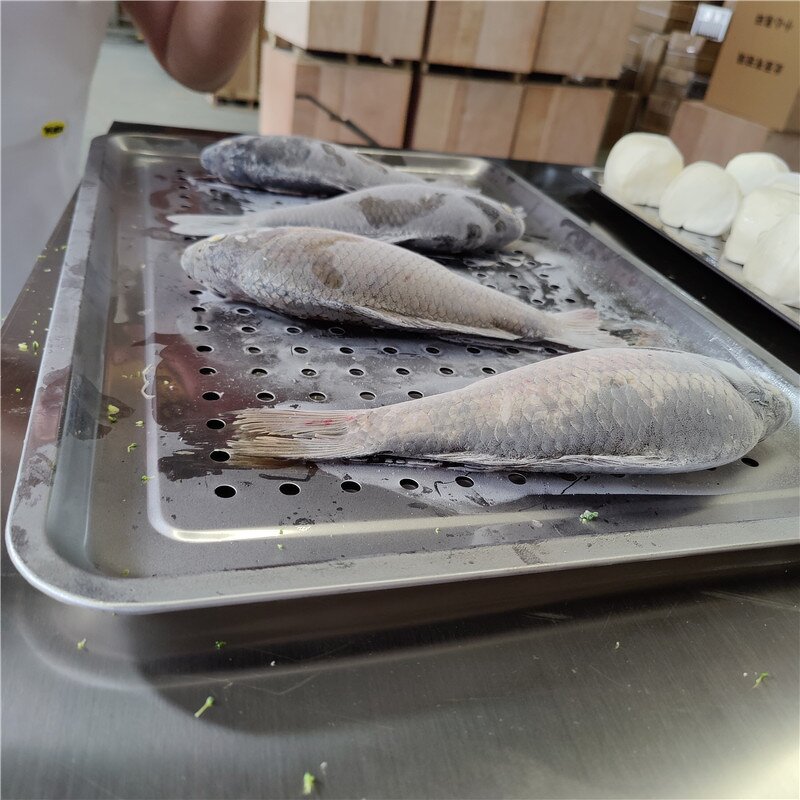 Blast Freezer Manufacturer - OEM/ODM Ultra Low Portable Stainless