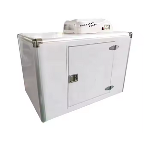 Mobile Refrigerator Manufacturer - OEM/ODM Portable Electric Vehicle