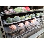 Below -40 degree freezer